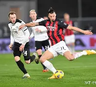 开云体育登录-关于尼斯内部会议纪要流出——今晚扳平良机，足总杯使命明确，赛程密集仍需轮换的信息