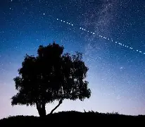 开云体育-建筑中标查询网站